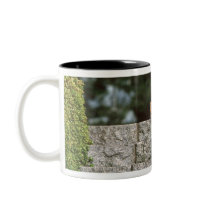 Japanese Midget Shiba 4 Mugs