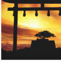 Japanese Morning canvas prints