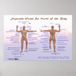 Japanese Names for Parts of the Body posters