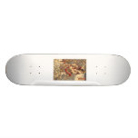 Japanese Painting c. 1800's Skate Decks