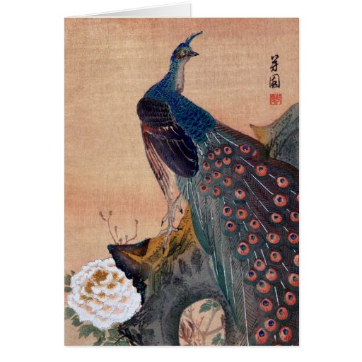 Japanese Peacock no.1 Card