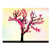 Japanese pink cherry blossom tree postcards