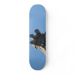 Japanese Rooftop Skate Board