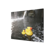 Japanese Rubber Duckies Canvas Prints