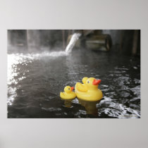 Japanese Rubber Duckies Posters