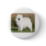 Japanese Spitz 9Y576D-265 buttons