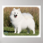 Japanese Spitz 9Y576D-265 Print