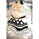 Japanese sumo-wrestler t-shirts