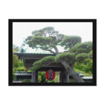 japanese tree postcards
