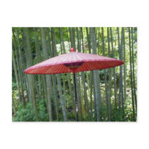 Japanese umbrella among the bamboo post card