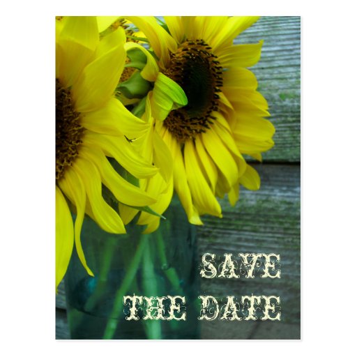 Jar Of Sunflowers Barnwood Fall Save The Date Post Cards