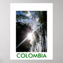 JARDIN BOTANICO, MARSELLA PRINT