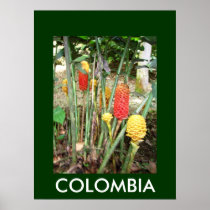 JARDIN BOTANICO, MARSELLA POSTER