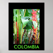 JARDIN BOTANICO, MARSELLA PRINT