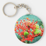Jardín Botánico Piñeres, Turbaco, Colombia Keychains