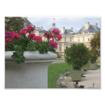 Jardin du Luxembourg Photo Print