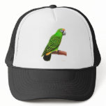 Jardines Parrot Hat