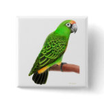 Jardines Parrot Pin buttons