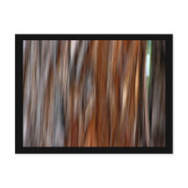 Jarrah 2 postcards