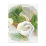 JARROS II11 postcards