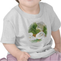 JARROS II11 TEE SHIRTS