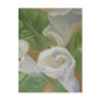 JARROS II giftss Post Cards