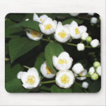 jasmin mouse pads
