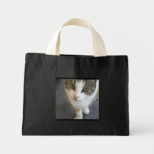 Jasmine Canvas Bags