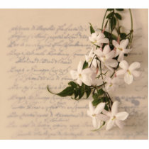 jasmine on old script handwriting photo sculpture