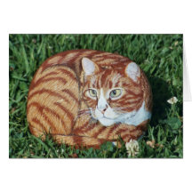 "Jasper" cat rock card
