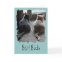 Jasper & Kaylee Kitten "Best Buds" Card