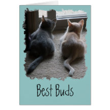 Jasper & Kaylee Kitten "Best Buds" Card