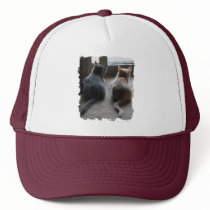 Jasper & Kaylee Kitten Hat