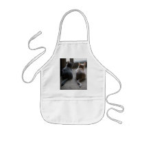 Jasper & Kaylee Kitten Kids Apron