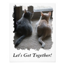 Jasper & Kaylee Kitten "Let's Get Together" Invite