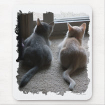 Jasper & Kaylee Kitten Mousepad