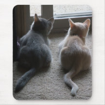 Jasper & Kaylee Kitten Mousepad