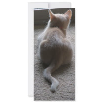 Jasper & Kaylee Kitten Photo Bookmark