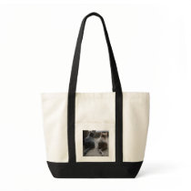 Jasper & Kaylee Kitten Tote Bag