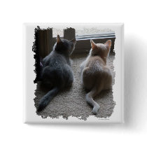 Jasper & Kaylee Square Kitten Button