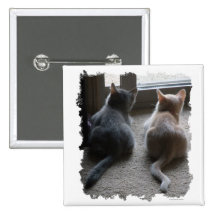 Jasper & Kaylee Square Kitten Button
