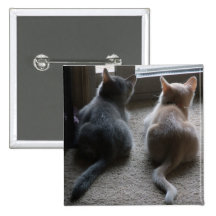 Jasper & Kaylee Square Kitten Buttons