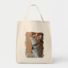 Jasper Kitten Grocery Tote Bag