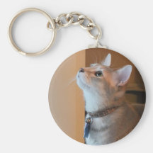 Jasper Kitten Keychain