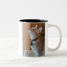 Jasper Kitten Photo Two-Tone B&W Coffee Mug