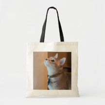 Jasper Kitten Tote Bag