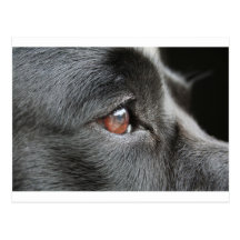 jasper post card