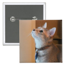 Jasper Square Kitten Photo Button