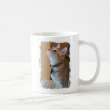 Jasper Stylised Kitten Photo White Coffee Mug