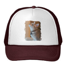 Jasper Stylised Kitten Photo White & Maroon Hat